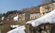 54 Bosco Entro, scendo in un valloncello e poi risalgo verso Bosco Fuori...